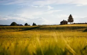Jak wygląda praca w komisji wyborczej? Odpowiadamy na pytania